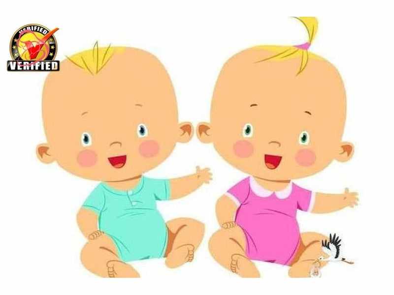 58 Braco & Seka Blizanci