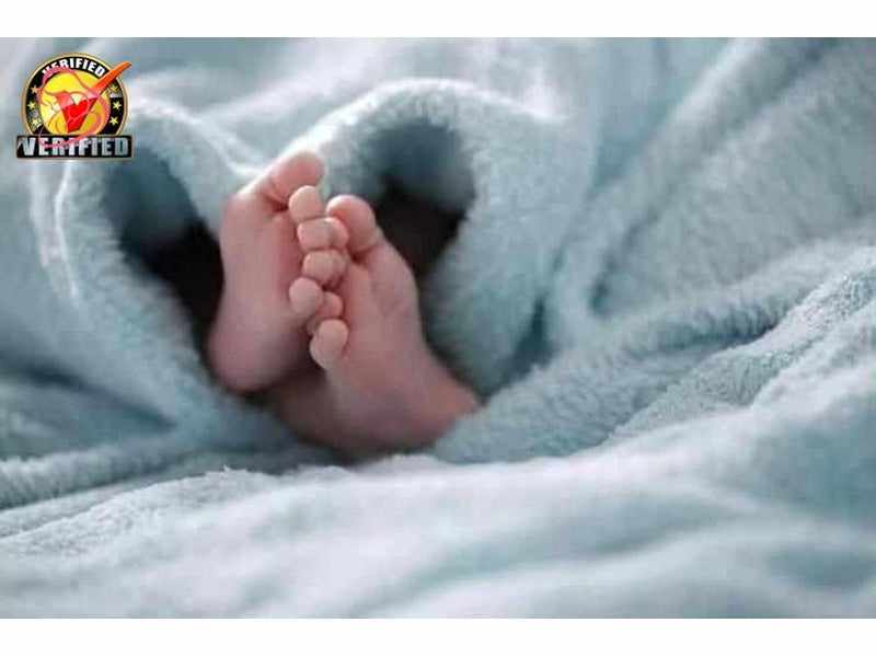 Telegram Rođenja Bebe 12 Čestitka