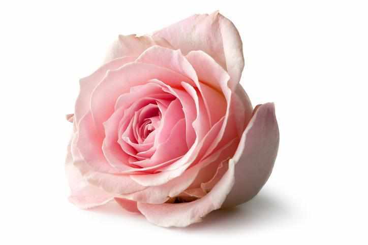 Telegram Zahvale 28 Brzojav
